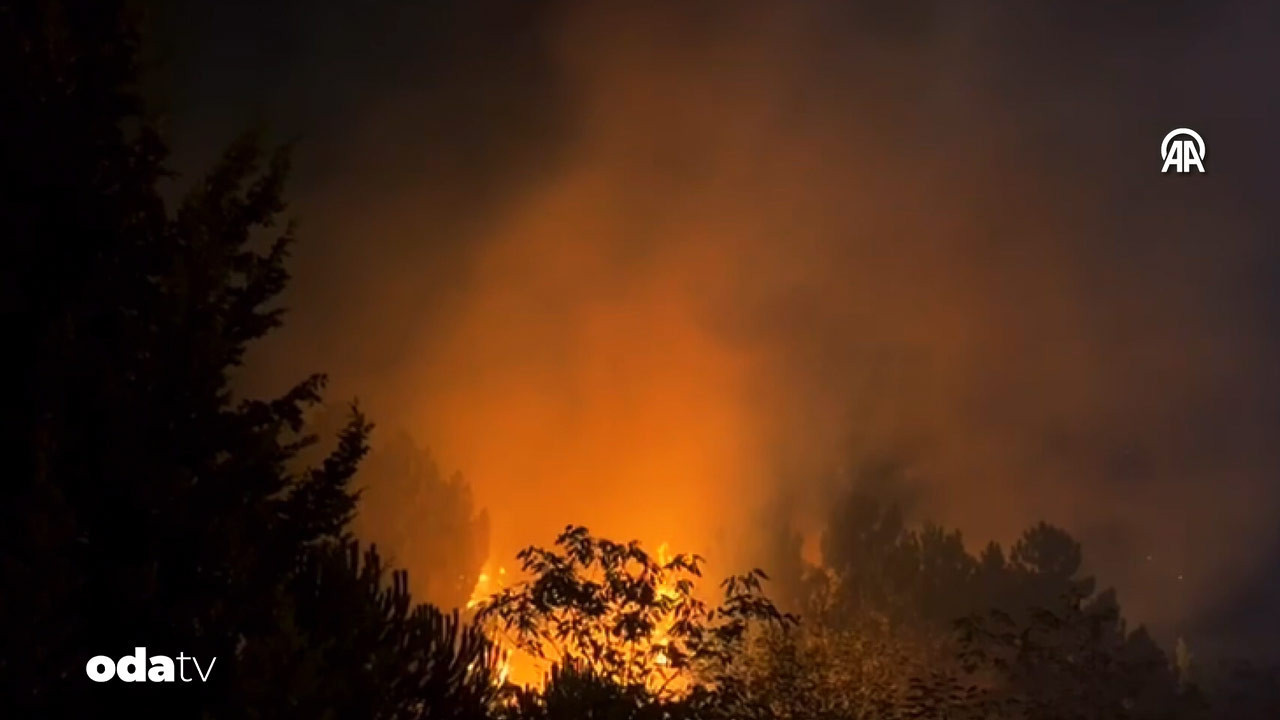 beykozda orman yangini zq6hMZgG