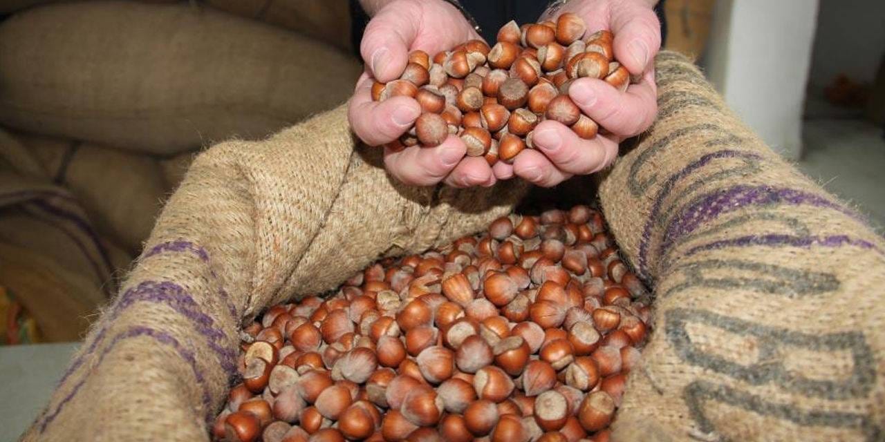 findiktan 1 milyar 610 milyon 163 bin gelir wpWaI8F6.jpg