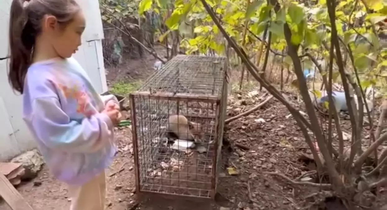 kucuk kizin tilkiye iliskin duygulandiran sozleri wIQscfV4.jpg