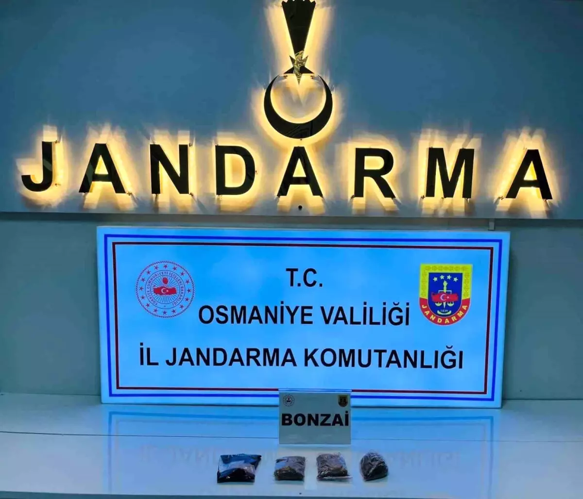 osmaniyede jandarmadan buyuk operasyon 124 supheli gozaltina alindi d3YD5vFn.jpg