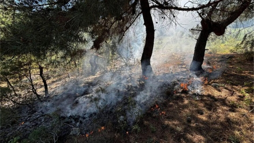 Jandarmanın Zamanında Müdahalesi Yangını Kontrol Altına Aldı
