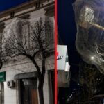 Sehir merkezindeki agaclari tek tek aglarla kapladilar z57gMItl